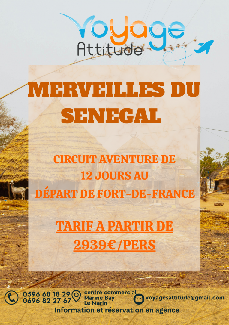 Plongez dans l'univers du Sénégal  venez découvrir ses merveilles cachées